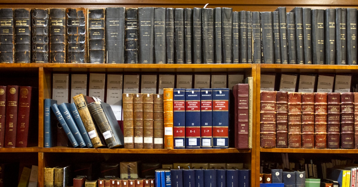 Will Contest Litigation: Challenging and Defending Testamentary Dispositions