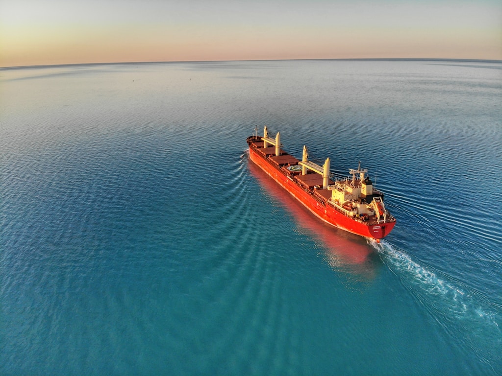 Cruise Line Liability: Class Actions and Individual Claims in Maritime Disputes